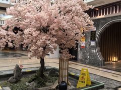 -添赐温泉馆(上南路店)
