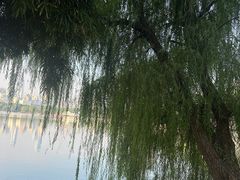 -食膳公园包子铺(烈士公园店)