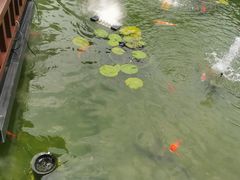 -濮园 · 四合院餐厅
