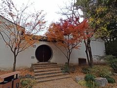 -上海醉白池公园