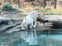 -杭州野生动物世界