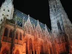 -斯蒂芬主教座堂(Stephansdom)