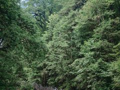 -龙苍沟森林公园