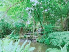景观位-绿光森林餐厅