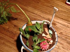 -嘉禾·悦享餐厅(八方汇店)