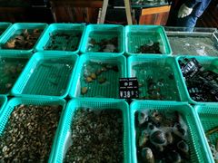 -浩运·海鲜青岛菜·海胆水饺(石老人店)