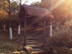 -梁鸿国家湿地公园