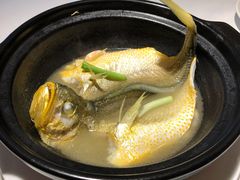 砂锅蒸黄花鱼-悦景酒家(罗湖店)