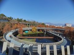 -福道