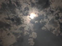 -三亚亚龙湾红树林度假酒店