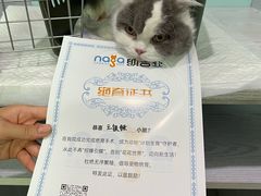 -纳吉亚猫专科动物医院·北北分院