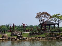 -上海鲜花港