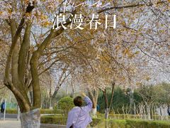 -西安市长乐公园