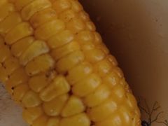 -万里闯关东铁锅炖菜馆(高新旗舰店)