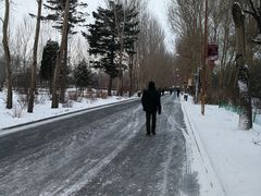 -长春公园(普阳街道)