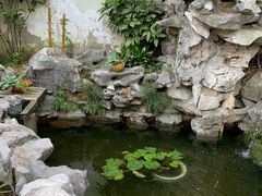 -美味之家·湖景农家乐(太湖东山店)