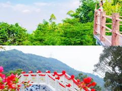 -东莞观音山旅游风景区