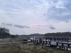 -御道口草原森林风景区