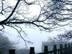 -普陀山慧济禅寺