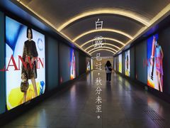 -大望路(地铁站)