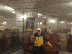 -紫轩葡萄酒庄园