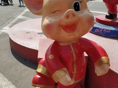 -石家庄市动物园