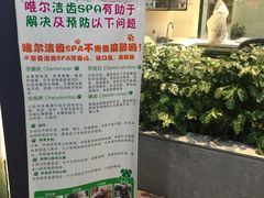 -御宝贝24h宠物医院·转诊中心·CT核磁血透中心(厦门总院)