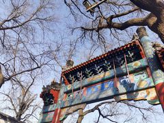 -北京国子监胡同