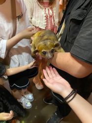 -Zoolung Zoolung动物主题公园(海信广场店)