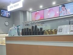 -雾与山茶(大禹城店)