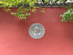 -塔尔寺-菩提树