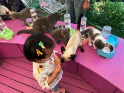 -萌宠亲子动物乐园(槐房万达店)