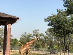 -石家庄市动物园