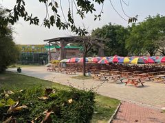 -光明农场大观园