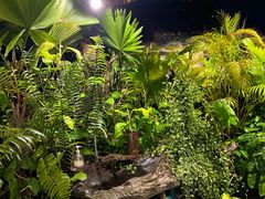 -自然餐厅(Phuket)