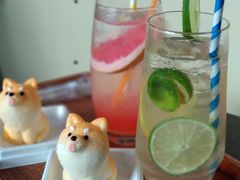 -柴犬高等学院·狗咖·柴犬售卖·宠物训练