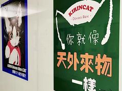 -十年猫舍·猫咪专门店(普陀店)