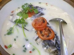 -全乐鱼馆·淳牌有机鱼直营店