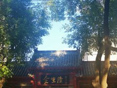 -金生隆(六铺炕店)