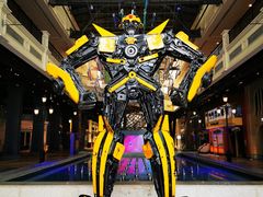 -香巴拉云南餐厅(华莱坞店)