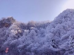-秦岭风景区