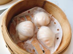 喜粤虾饺皇-喜粤8号(四海唐人街店)
