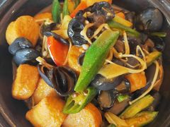 -金蝉食府(维吉奥广场店)