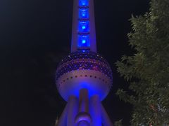 -上海大自然野生昆虫馆(东方明珠·爬宠昆虫探索中心)