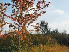 -长春公园(普阳街道)