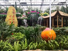 -兰陵国家农业公园