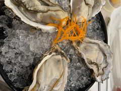 -蚝大仙横琴生蚝火锅(日月贝店)