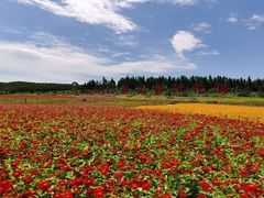 -六鼎山文化旅游区