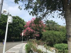 -东莞植物园
