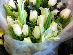 -静岸花卉园艺(三星坊店)